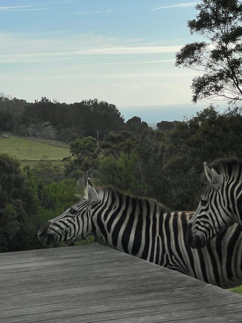 4 Bedroom Property for Sale in Kragga Kamma Eastern Cape